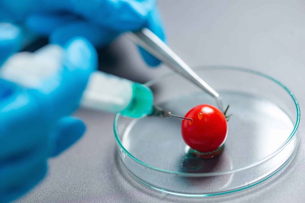 Can You Modify the Exhaust of a Toyota Prius for a Sportier Sound Without Affecting Emissions?